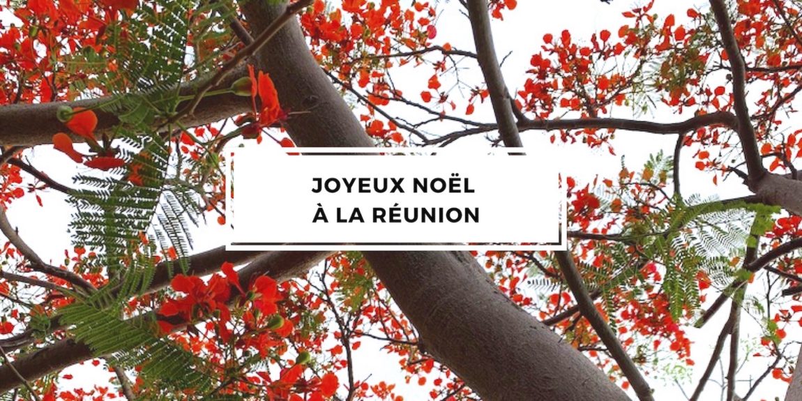 Joyeux Noël à La Réunion ! - Travels Gallery, blog voyages atypiques